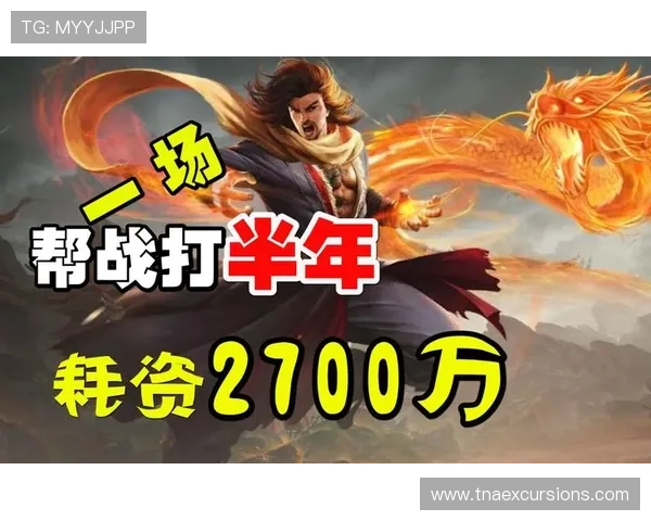 币游登录官网娱乐平台助力新手玩家快速入门，提供专业指导与丰富福利助推游戏热潮