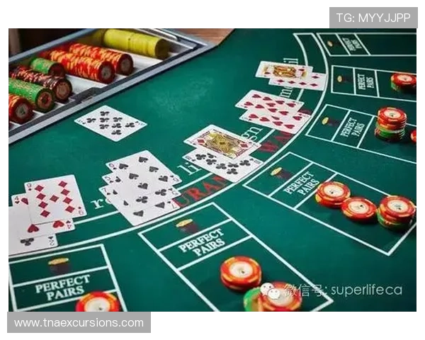 最新赌场真人玩法介绍：多样化游戏类型满足不同玩家的娱乐需求